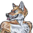 cybercoyote avatar