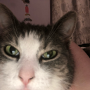 cyberman-smear-test avatar