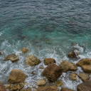 cyberpatrolduck avatar