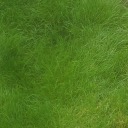 cyberperfection avatar