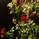 cyberspace666catharsis avatar