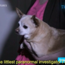 cyberspacecrybaby avatar