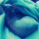 cybertrashpunk avatar