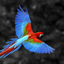 cyberwarrior-blog avatar