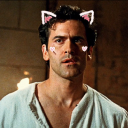 cyborg-seagull avatar