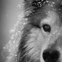 cycle-addiction avatar