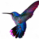 cycle-never-ending avatar