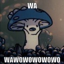 cyclical-polyp avatar