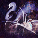 cygnodectus avatar