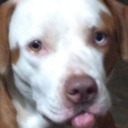 cynical-potatolove avatar