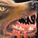 cynophagia avatar