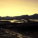 cynthia-darling avatar