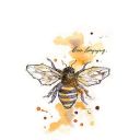 cypherousbees avatar