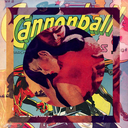 czechquesadilla avatar