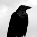 d-a-e-m-o-n-i-u-m-blog avatar