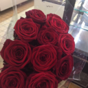 d-ezembertrist avatar