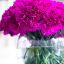 d-ream-weaver-blog avatar