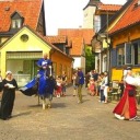 d0mesticati0n avatar