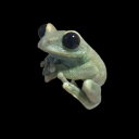 d4rk-l4dy-blogsss avatar