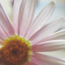 da-rk-para-dise avatar