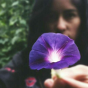 daangoals-blog avatar