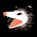 daasopossum avatar