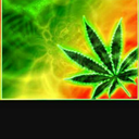 dabking420shk avatar