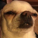 dabmaszyna3000-blog avatar