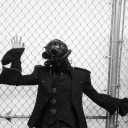 daddiest-of-daddies avatar