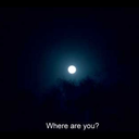 daddy-is-a-dom avatar