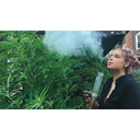 daddy-says-im-damaged avatar