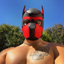 daddychoker avatar