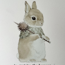 daddydegrademe avatar