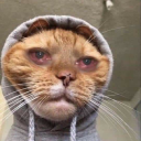 daddylonglegz72 avatar