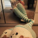 daddys-babybell avatar