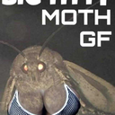 daddysh0rtl3gs avatar