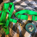 daddyslittlepuppy3724 avatar