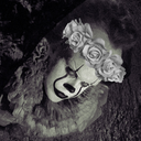 daddywise-fucker avatar