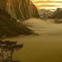 daenerystubborn avatar