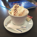 daffodil--daze avatar