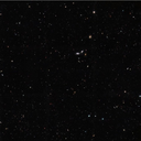 daffodilagainstgod avatar