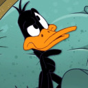 daffy-ducking avatar