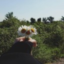 dahaacmadigokler avatar