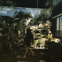 dahii-gotuyettung avatar