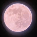 dahlialovesalotofshit avatar