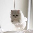 daily--thoughts avatar