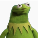 daily-dose-of-kermit avatar