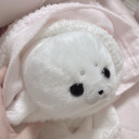 daily-dreamer avatar