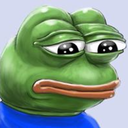 daily-frog-memes avatar