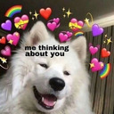 daily-goodthings avatar